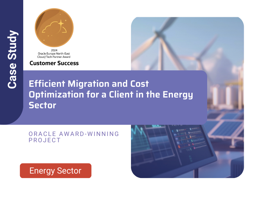 Efficient Migration and Cost Optimization for a Client in The Energy Sector