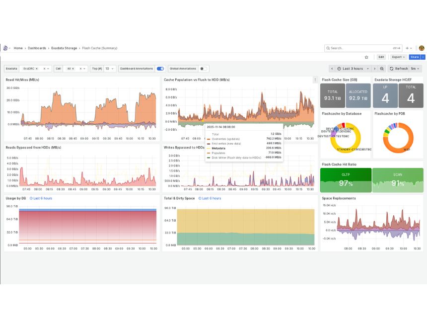 Exadata Storage Server